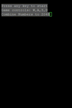 Terminal application displaying a text prompt